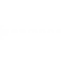 Beamdog beamdog